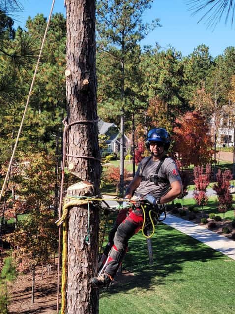 EverReady TreeWorks crew performing commercial pruning Charlotte