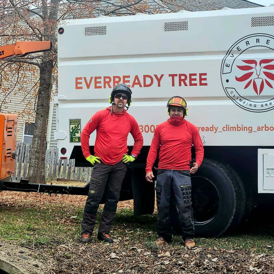 EverReady TreeWorks 24/7 emergency crew Charlotte NC